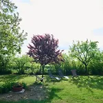 Koris Tanya Guest house 3*