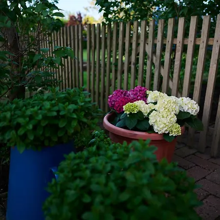 Koris Tanya Hodmezovasarhely