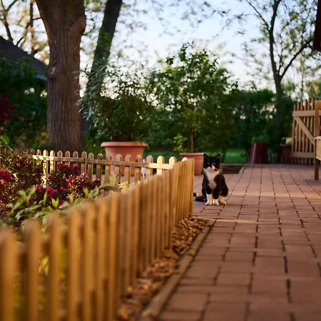 Guest house Koris Tanya