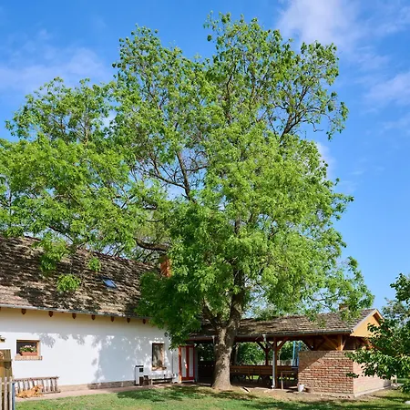 Koris Tanya Guest house Hodmezovasarhely