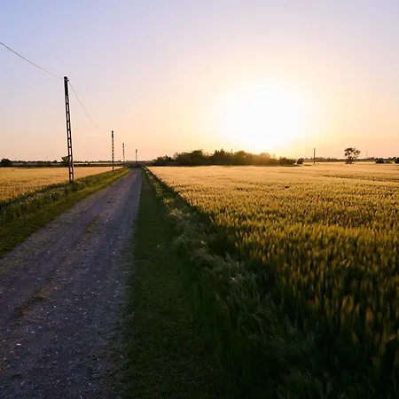 Gasthuis Koris Tanya Hódmezővásárhely