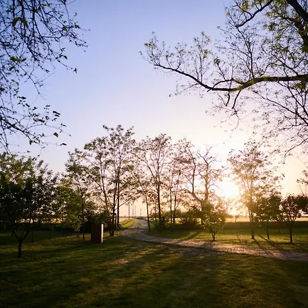 Koris Tanya Guest house Hodmezovasarhely