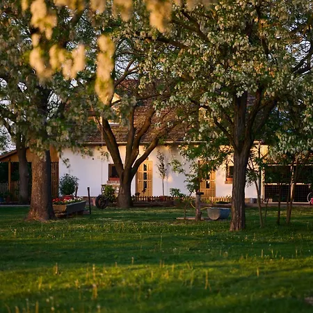 Guest house Koris Tanya